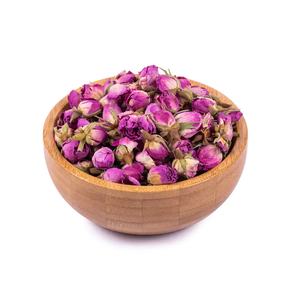 غنچه گل محمدی